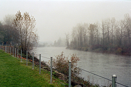 [A fence of posts with wire running through them at three levels segregates the grass of the rest area from the flowing river. Lots of trees line the river's edge, but only two have remnats of leaves. The air above the river is foggy, especially in the distance.]